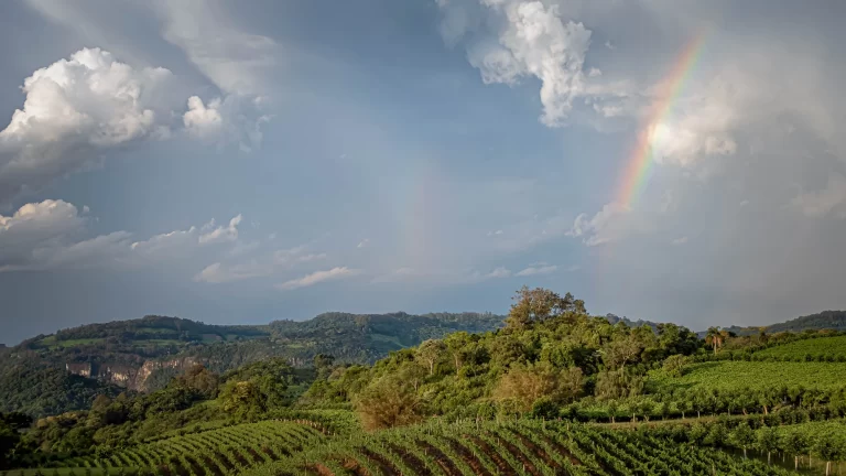 Vineyard view at Miolo Winery in Bento Gonçalves, Brazil with two rainbows in the sky